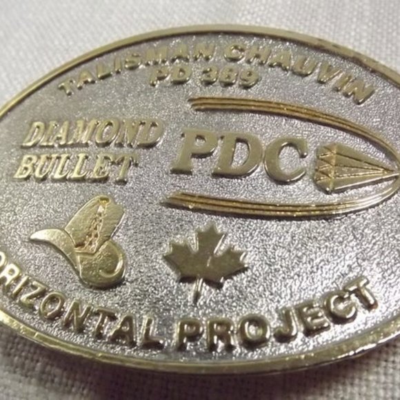 Diamond Bullet PDC Silver with Gold Belt Buckle - Picture 3 of 5